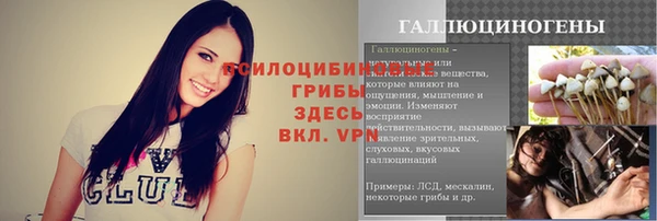 стафф Михайловка