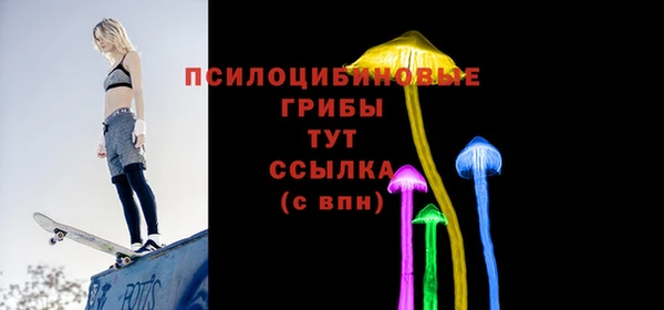 стаф Мегион