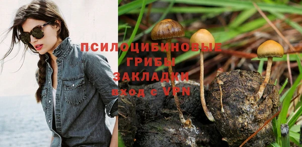 амф Анива