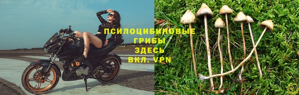 амф Медногорск