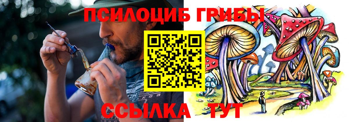 Менделеевск  Галлюциногенные грибы MAGIC MUSHROOMS  Вход с VPN  Галлюциногенные грибы прущие грибы 