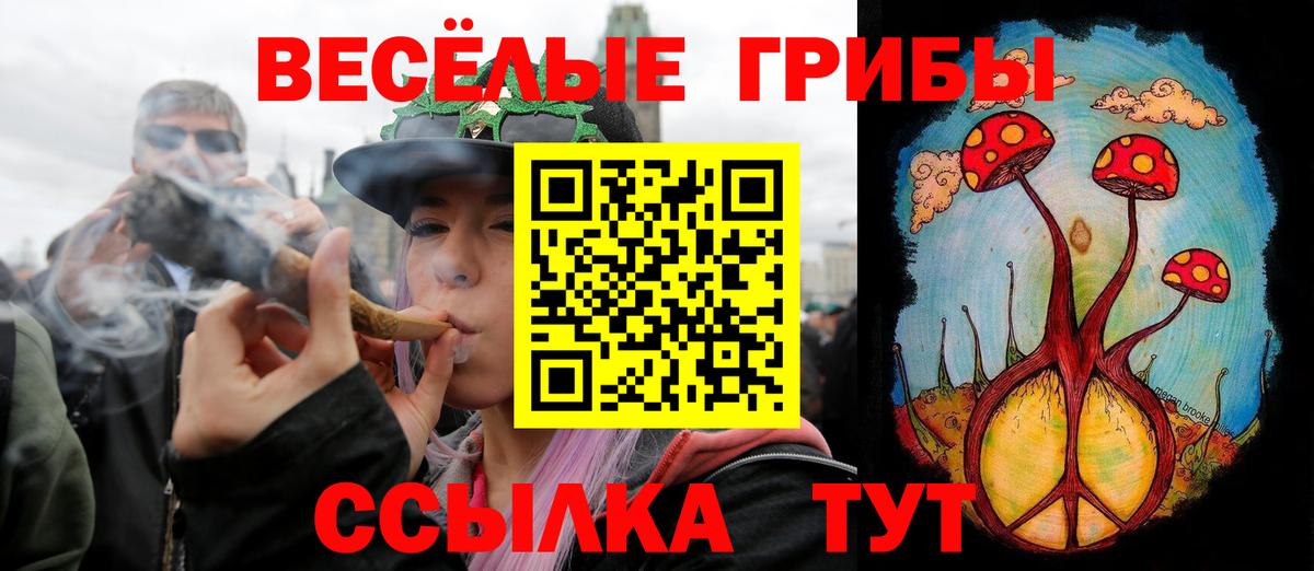 Псилоцибиновые грибы GOLDEN TEACHER  Менделеевск 