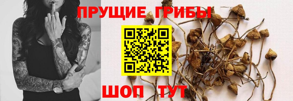 Галлюциногенные грибы GOLDEN TEACHER Менделеевск