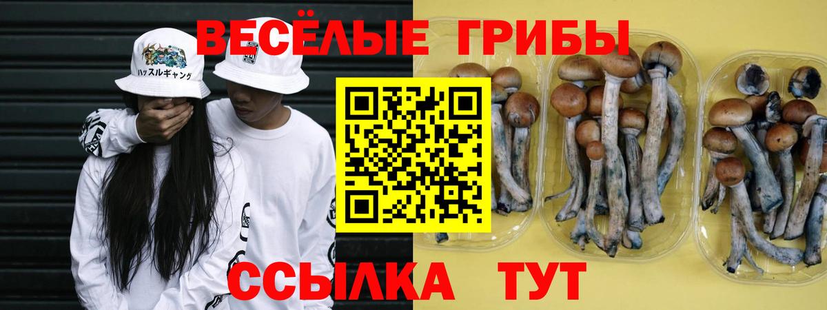 Псилоцибиновые грибы GOLDEN TEACHER Менделеевск